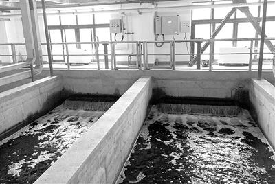 再生水 解鎖城市“第二水源”的關(guān)鍵路徑——污水處理及其再生利用調(diào)研報(bào)告